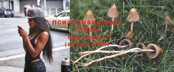 синтетический гашиш Белокуриха