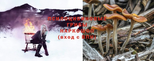 синтетический гашиш Белокуриха